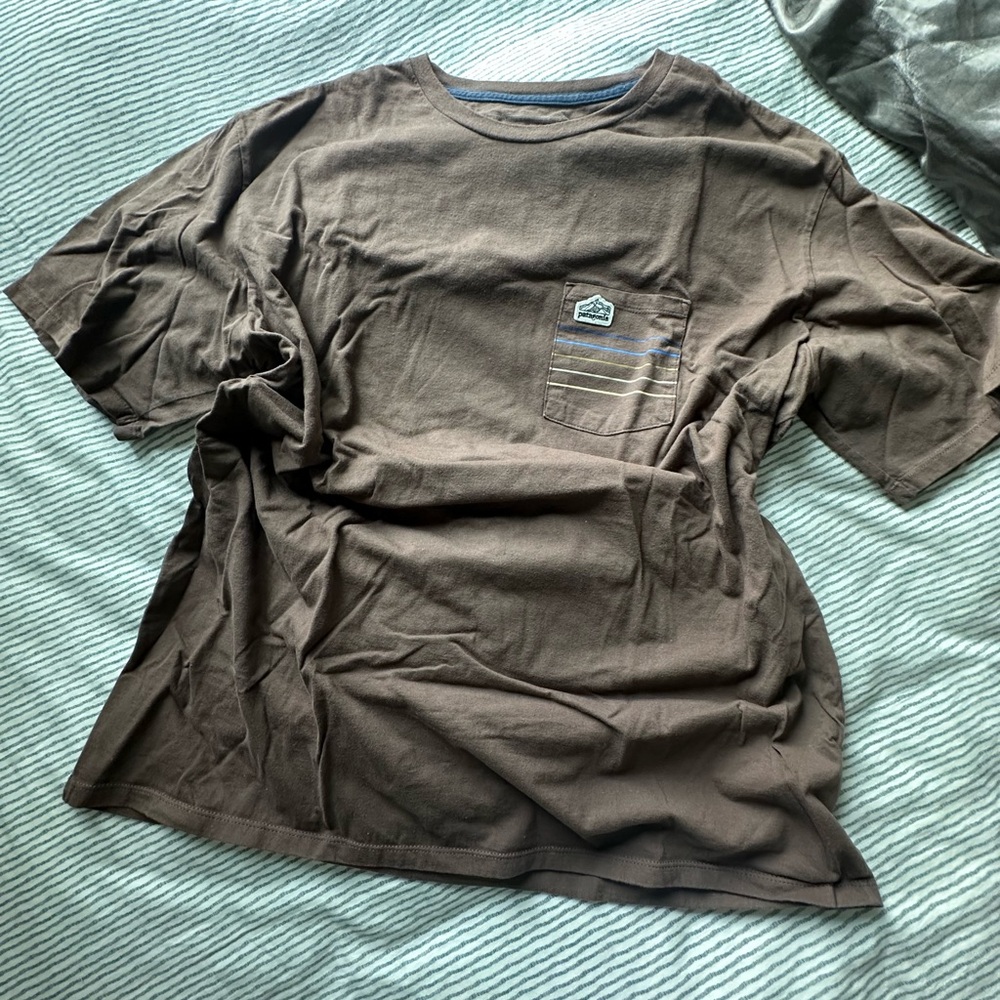 Brown Men's Patagonia T-Shirt